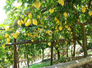 96f25-screen2bshot2b2015-05-232bat2b12-36-412bpm