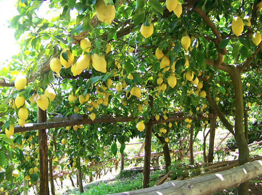 96f25-screen2bshot2b2015-05-232bat2b12-36-412bpm