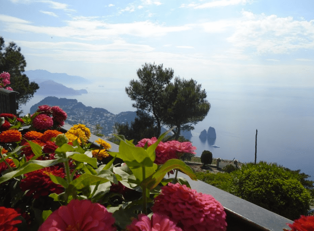 Screen Shot at 9/30/2015 8:48:08 PM