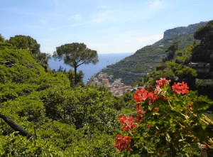 Screen Shot 2015-10-02 at 6.03.32 PM