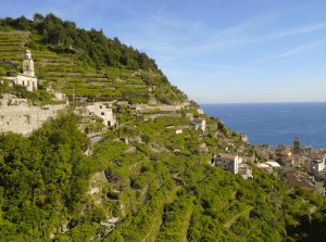 Screen Shot 2015-10-02 at 6.04.02 PM