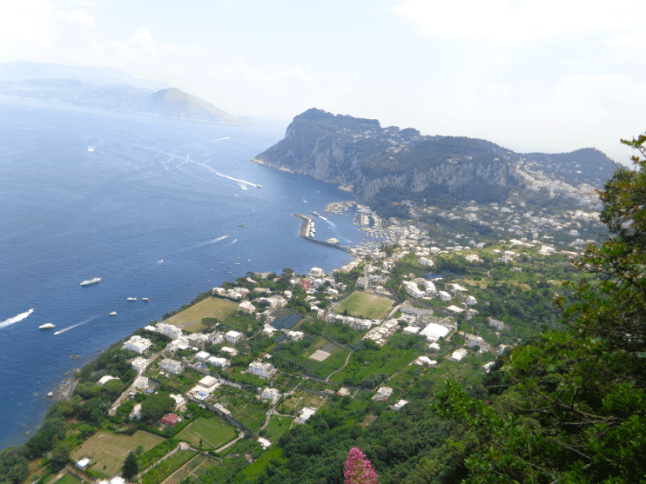 Screen Shot 2016-01-21 at 2.23.48 AM