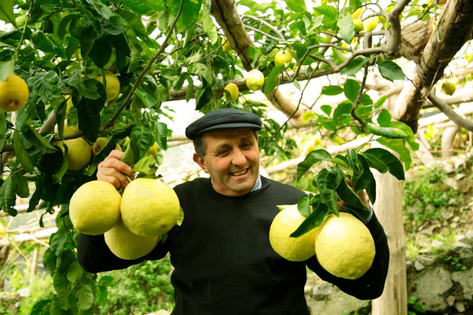 zzzzzzzVincenzoManzoVillaMARIA